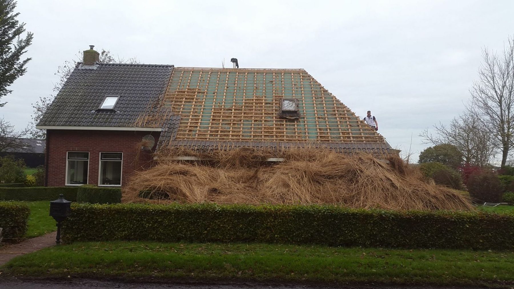 Afvoer sloopriet bij huis