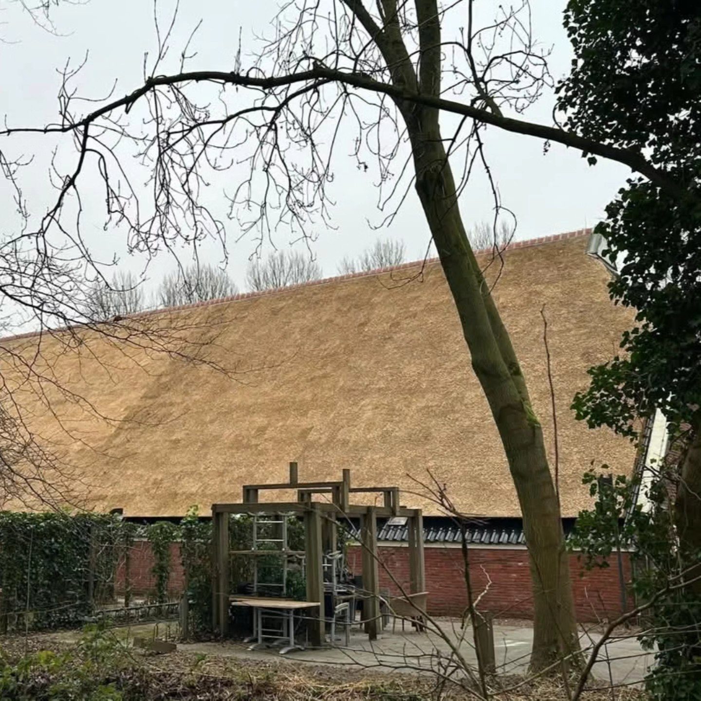 Afvoer van sloopriet met containers